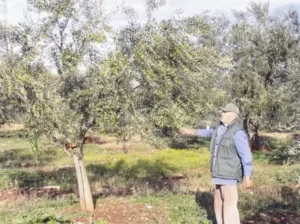 Božo Rakovac Nini Božo Rakovac Nini