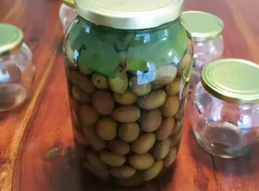 konzerviranje maslina