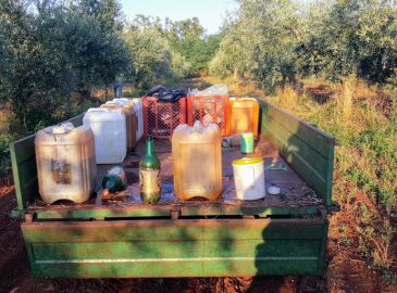 punjenje boca protiv maslinove muhe