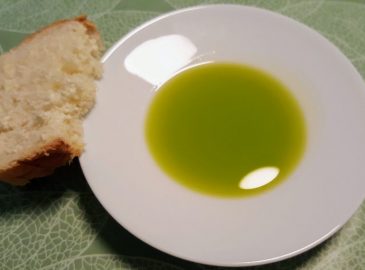 frischer Olivenöl Bilini