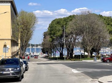 apartman Bilini Castropola