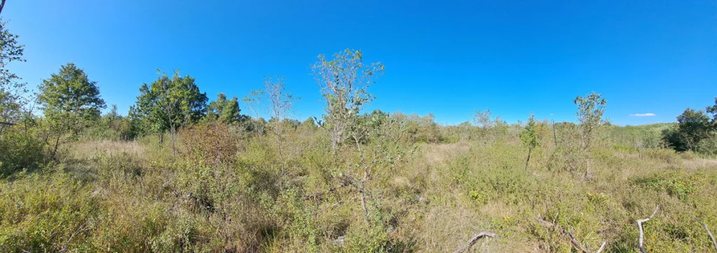 Prodaje se poljoprivredno zemljište blizu Poreča (selo Rakovci) direktno od vlasnika poljoprivredno zemljište poreč